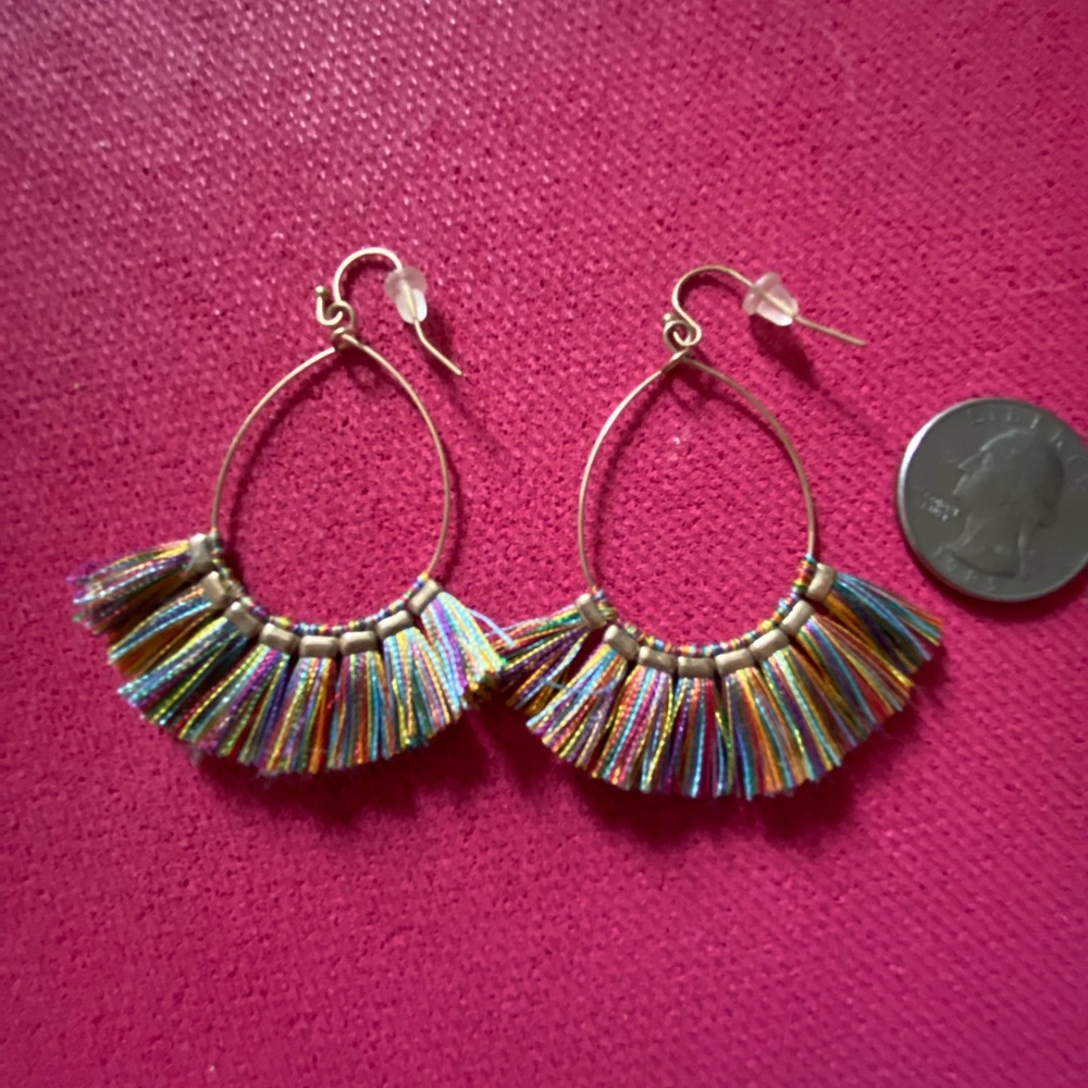 Boho multi colored tassel earrings